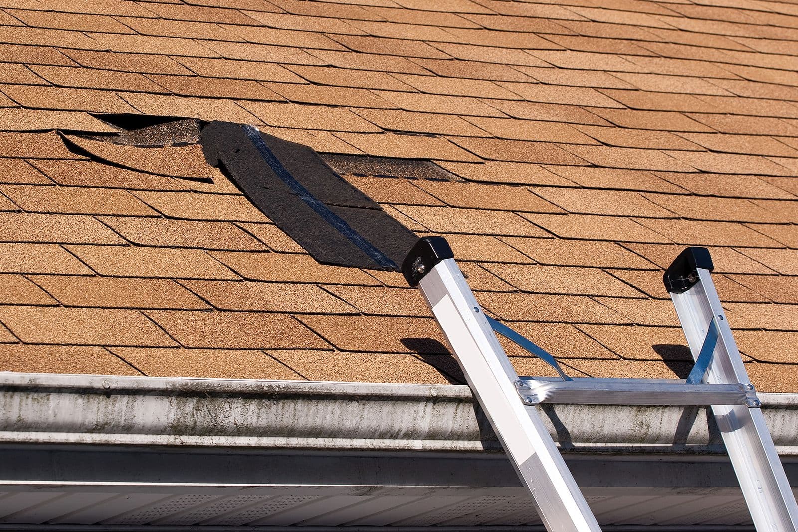 Damaged-Roof-Shingles-Repair